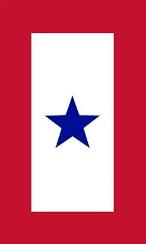 1 Blue Star Military Service Flag Sticker (One Family Member Serving Vinyl, Support Active Duty Troops Blue Star Troops Army Decal for car or Laptop (3 x 5 inch)
