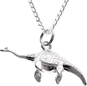 Alexander Castle 925 Sterling Silver Dinosaur Plesiosaurus Necklace Loch Ness Monster - 30mm x 12mm Pendant with 18" Silver Chain & Jewelry Gift Box - Scottish Gifts for Women & Men