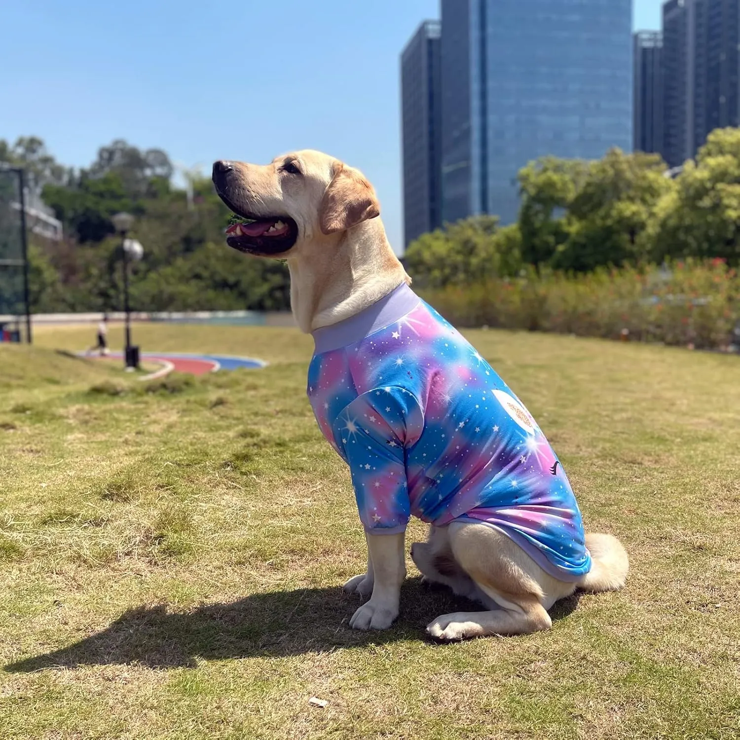 Dog Blue Purple Tiedye T Shirts Shining Unicorn Pattern Printed Pet Shirt Softable Pajamas for Large Dogs (XXL, Blue)