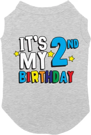 It's My 2nd Birthday - Second Dog Shirt (Light Gray, 3X-Large)