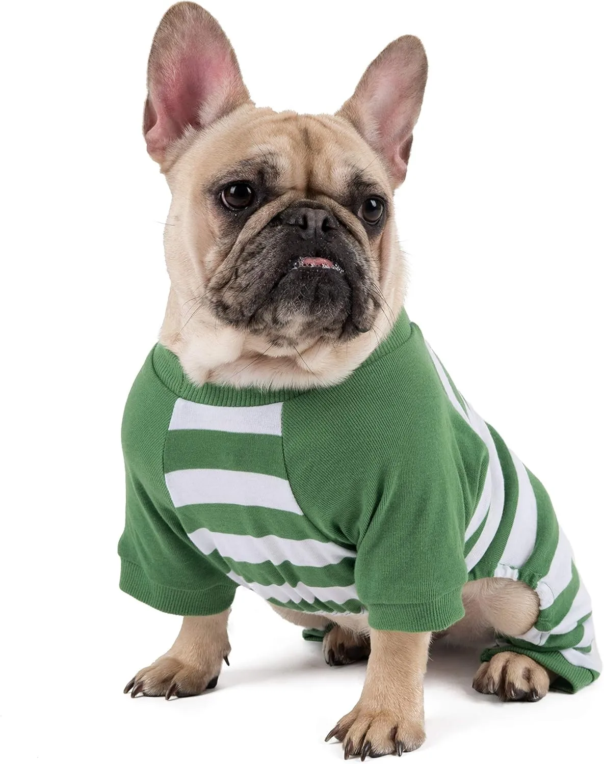 Leveret Matching Dog Pajamas Christmas Pjs 100% Cotton Green/White Stripes Size Medium