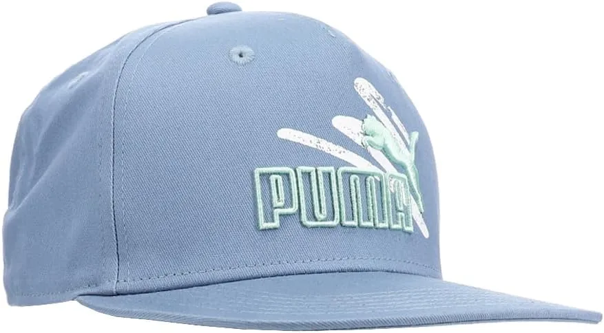 PUMA Mens Evolve Flat Brim Adjustable Snapback - Blue