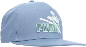 PUMA Mens Evolve Flat Brim Adjustable Snapback - Blue