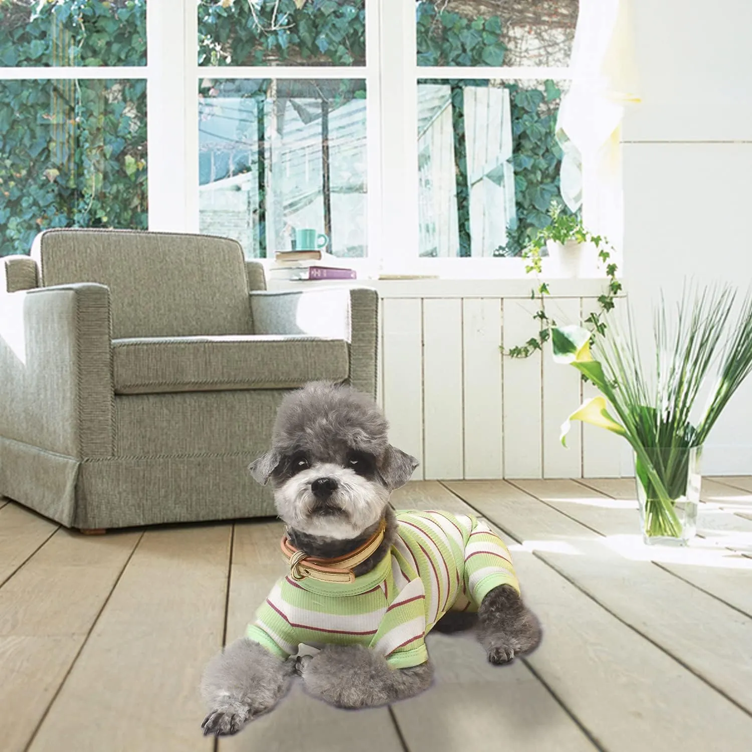 TONY HOBY Dog Jumpsuit 4 Legged Pajamas with Green Stripe, Female Dog Pajamas in Green, White for Small and Medium Size Dogs (Xl)